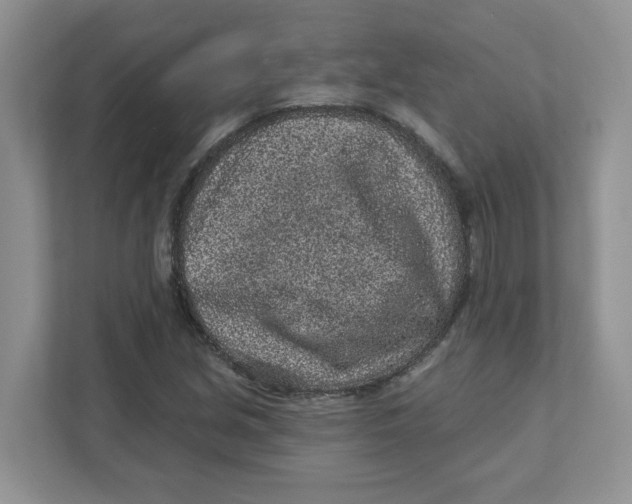 X0000110881213200907091414