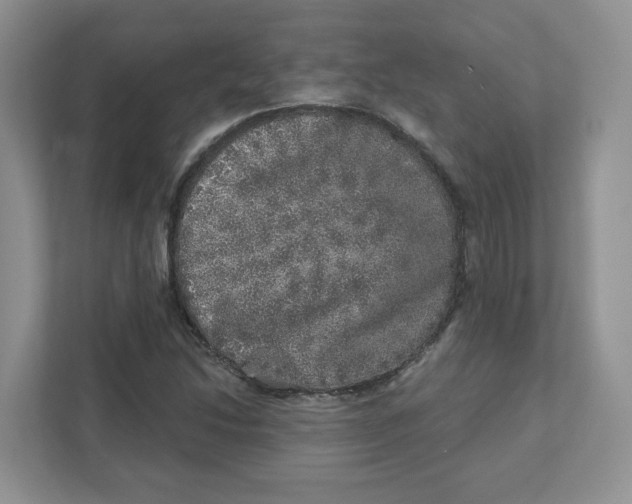 X0000110881214200907091414