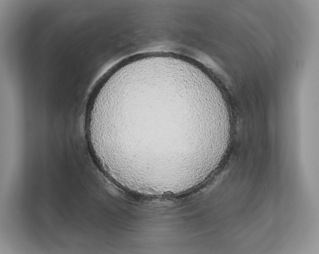 X0000110881216200907091415