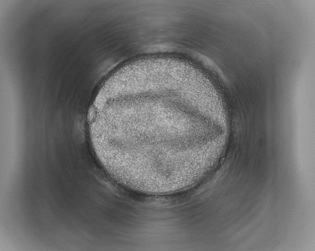 X0000110881217200907091415