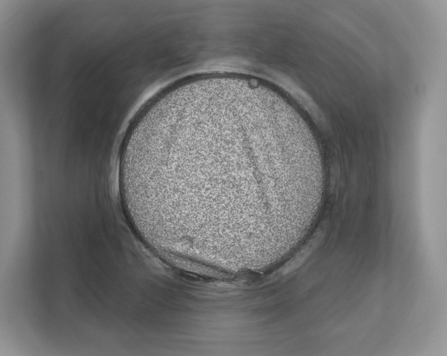 X0000110881224200907091415