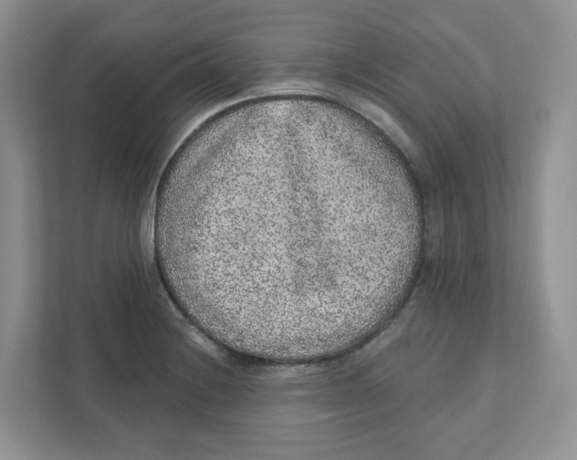 X0000110881228200907091415