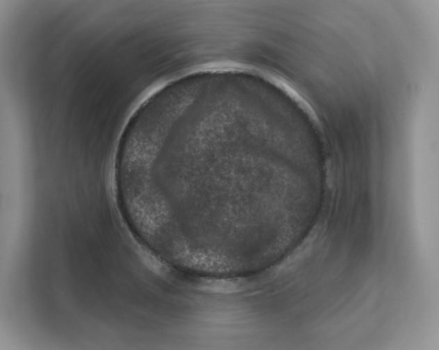 X0000110881229200907091415