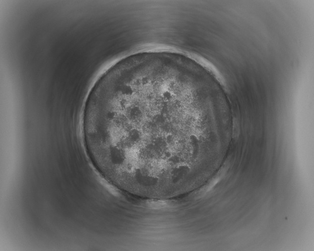 X0000110881231200907091415