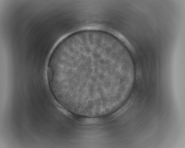 X0000110881232200907091415