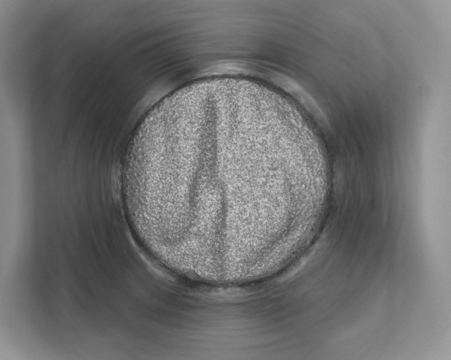 X0000110881233200907091415