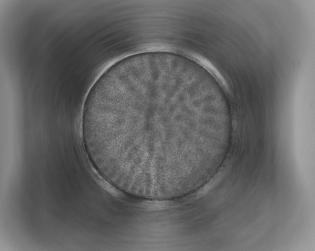 X0000110881236200907091415