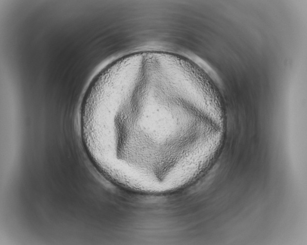 X0000110881238200907091415