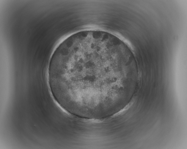 X0000110881239200907091415