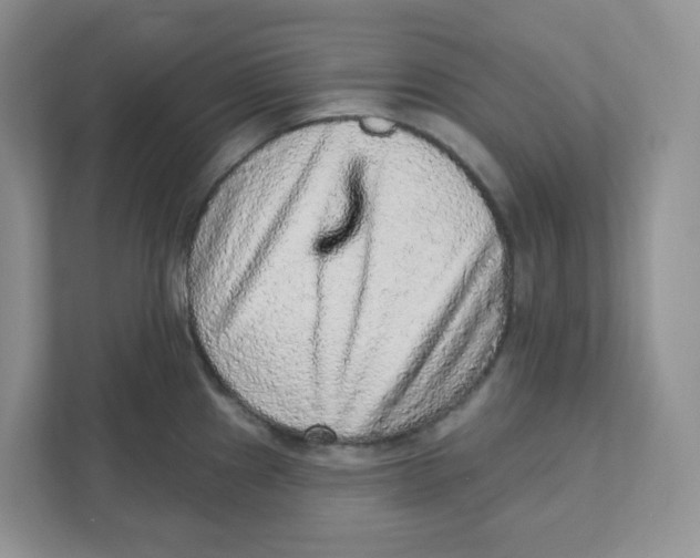 X0000110881241200907091415