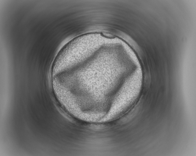 X0000110881242200907091415