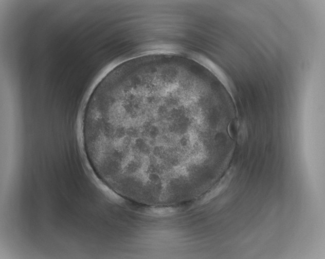 X0000110881243200907091415