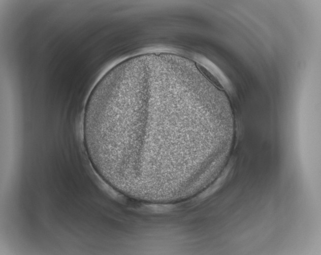 X0000110881244200907091415