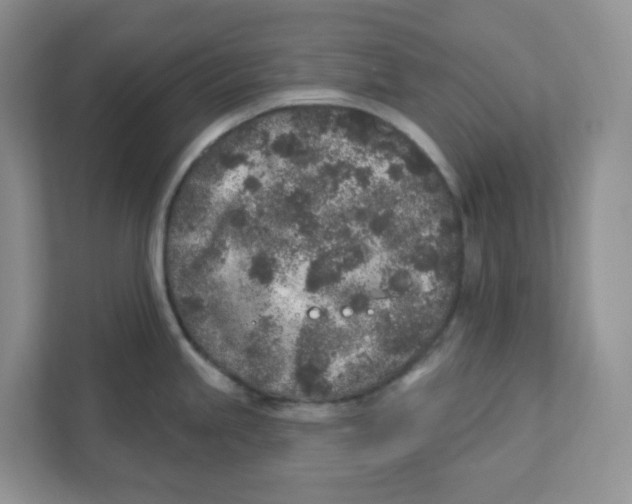 X0000110881245200907091415