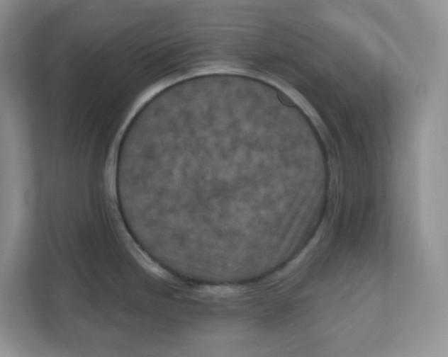 X0000110881246200907091415