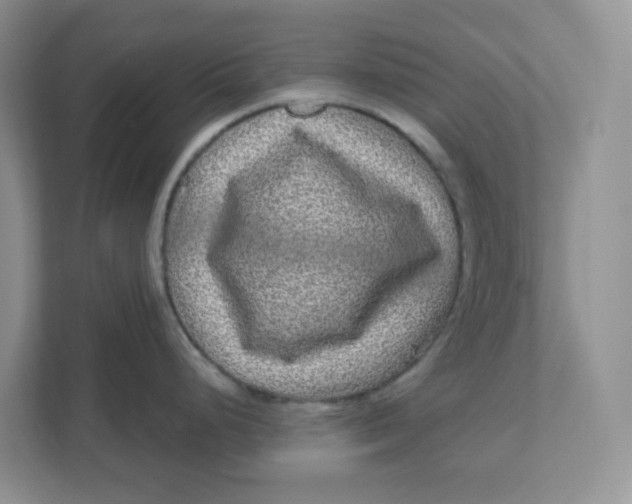 X0000110881248200907091415