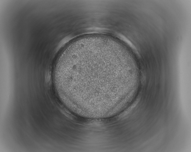 X0000110881259200907091414