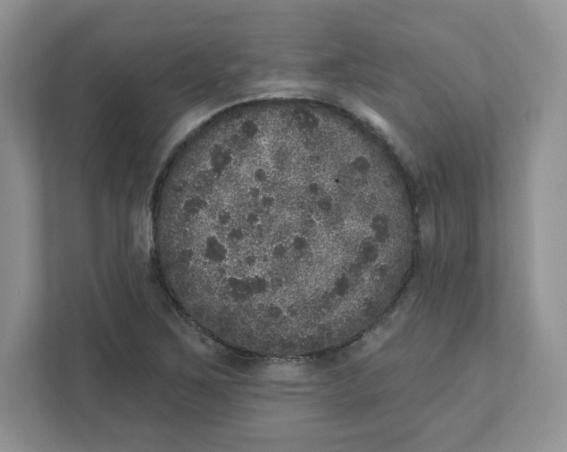 X0000110881267200907091414