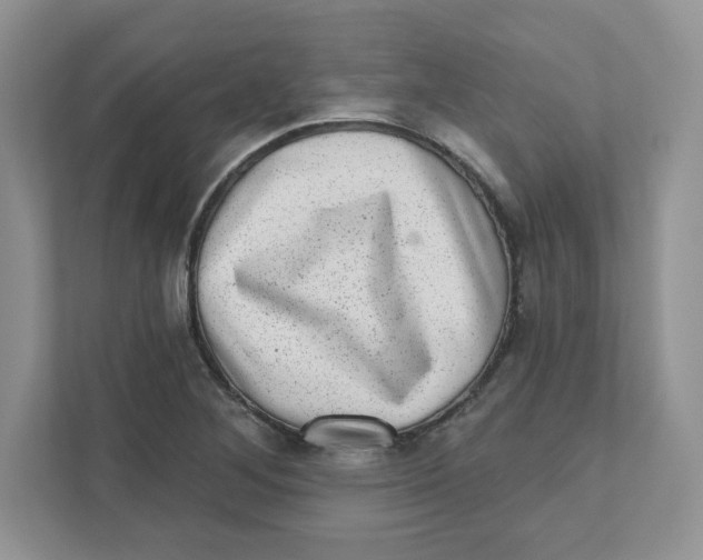 X0000110881268200907091414