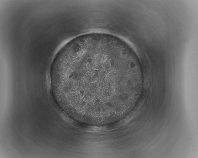 X0000110881271200907091414