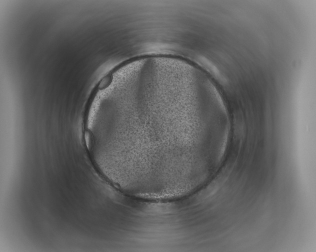 X0000110881277200907091414