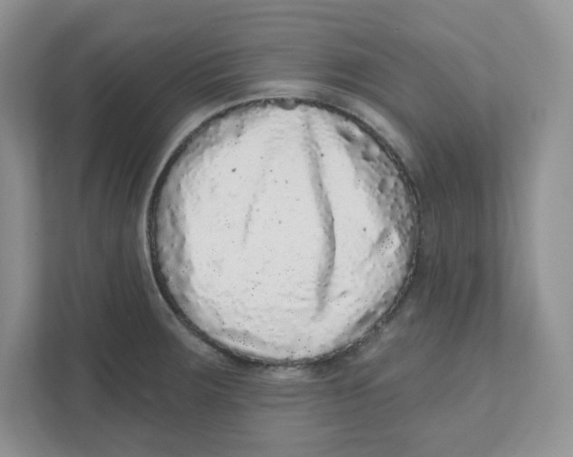 X0000110881283200907091414