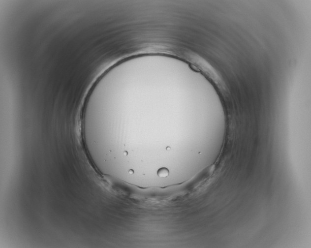 X0000110881284200907091414