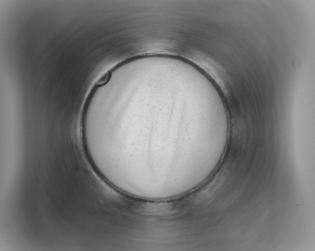 X0000110881285200907091414