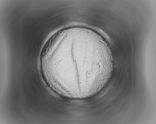 X0000110881287200907091414