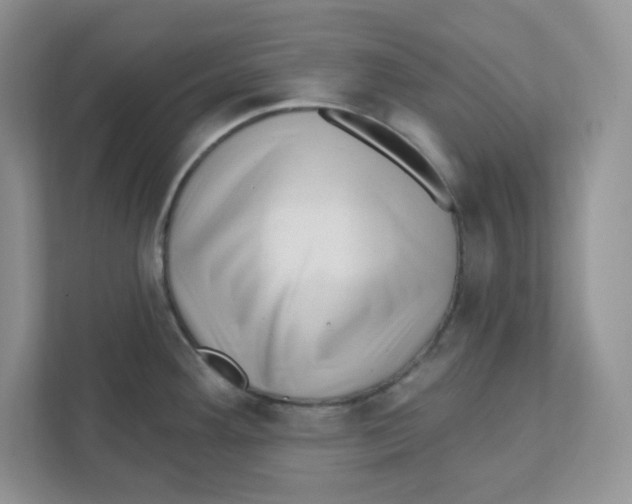 X0000110881292200907091414