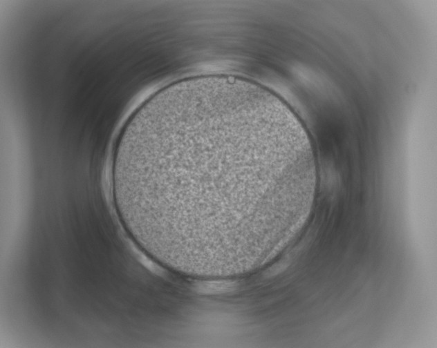 X0000110881294200907091414