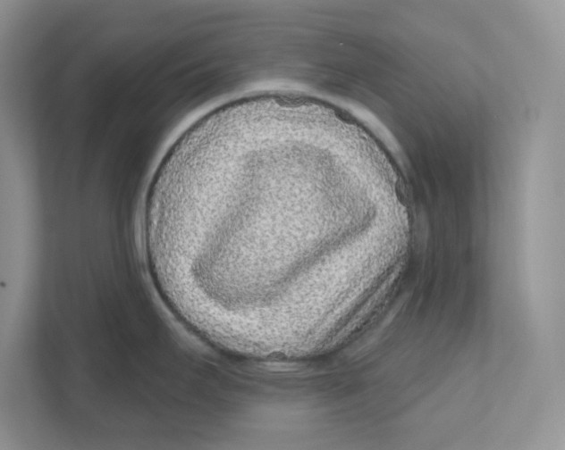 X0000110881295200907091414