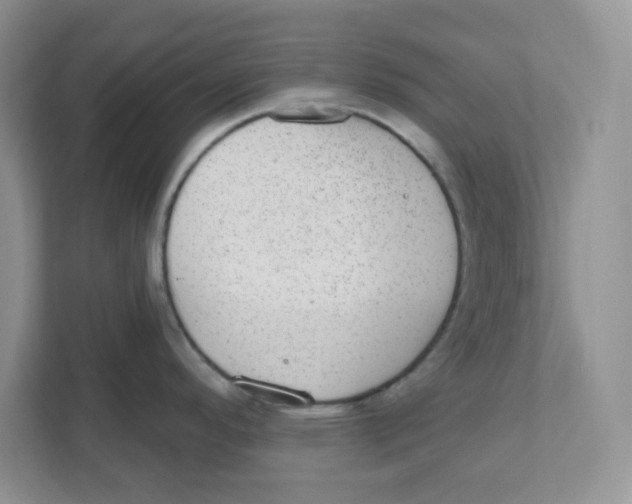 X0000110881296200907091414