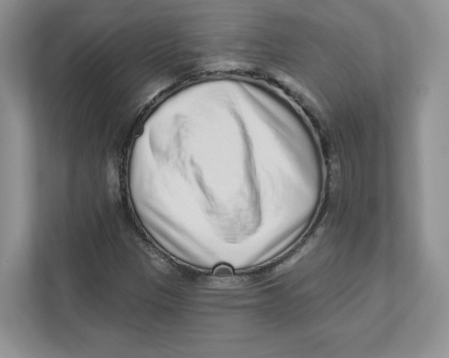 X0000110881305200907091413