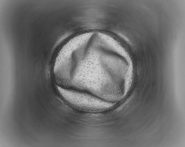 X0000110881309200907091413