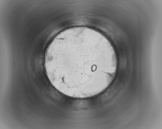 X0000110881314200907091413