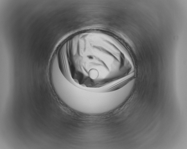 X0000110881316200907091413
