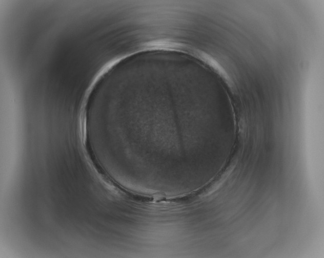 X0000110881323200907091413