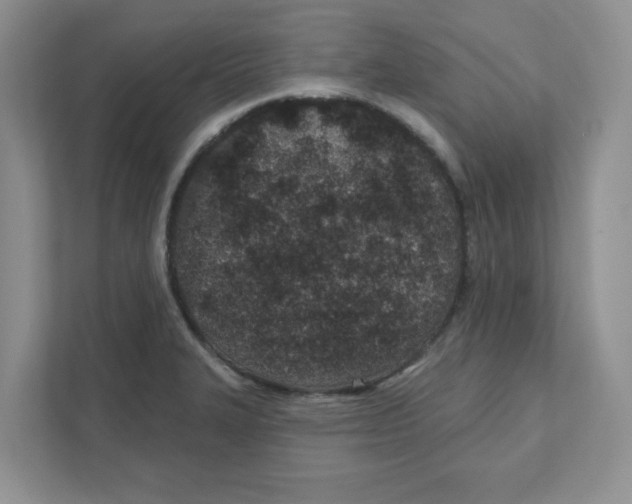 X0000110881327200907091413