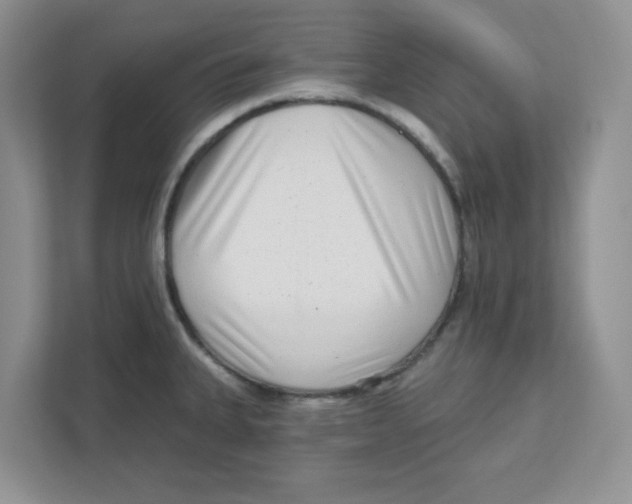 X0000110881335200907091414