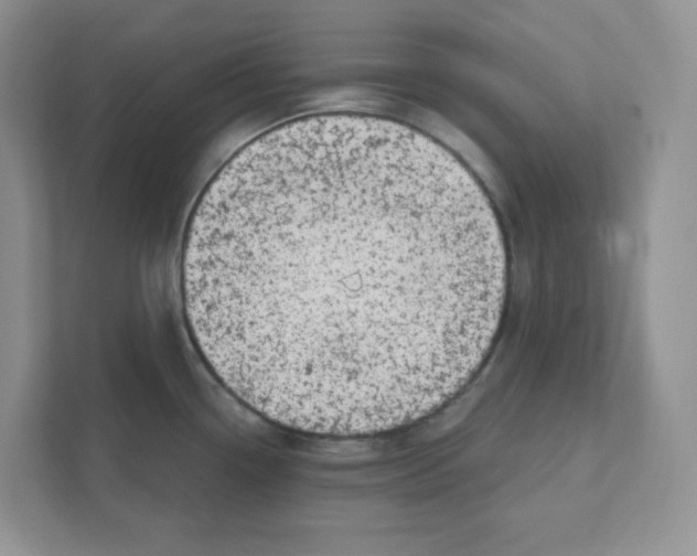 X0000110881338200907091414