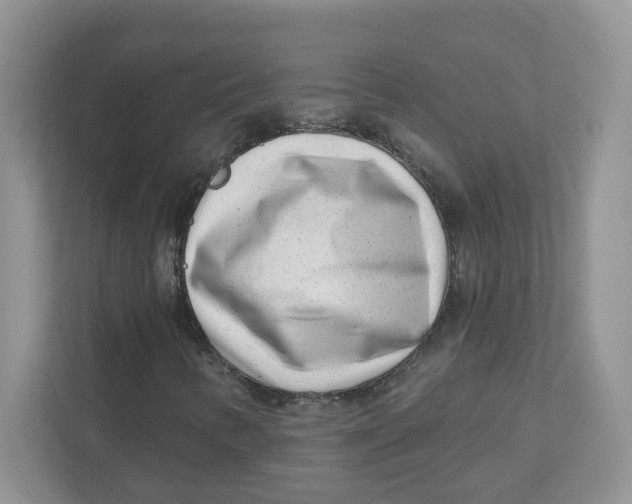 X0000110881346200907091413