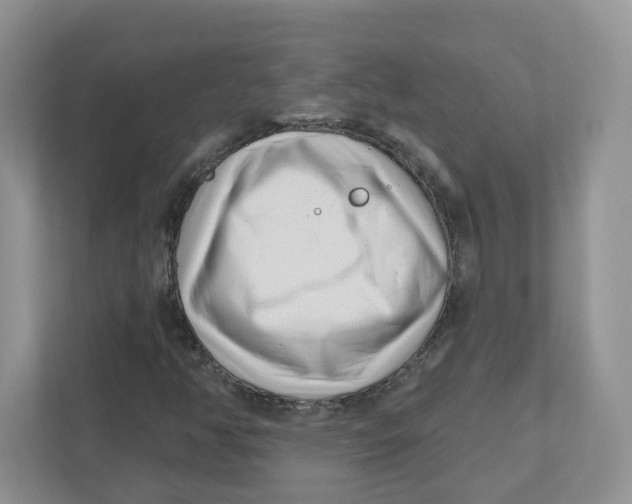 X0000110881350200907091413