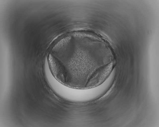 X0000110881353200907091413