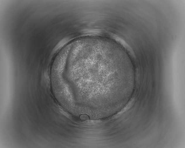 X0000110881354200907091413