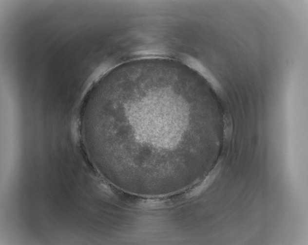 X0000110881357200907091413