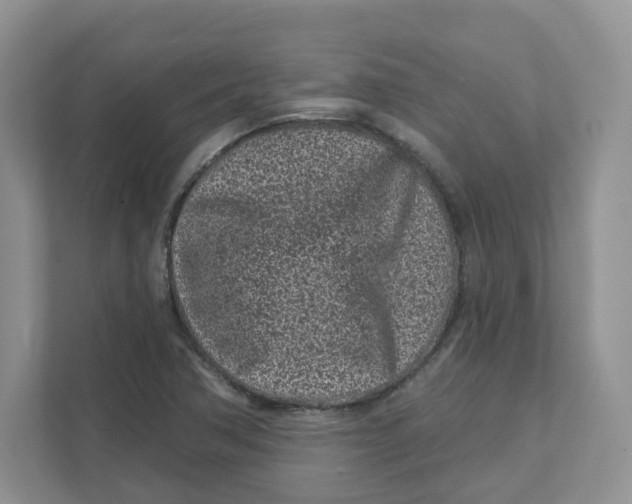 X0000110881362200907091413