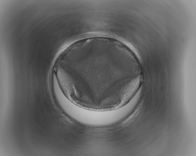 X0000110881365200907091413