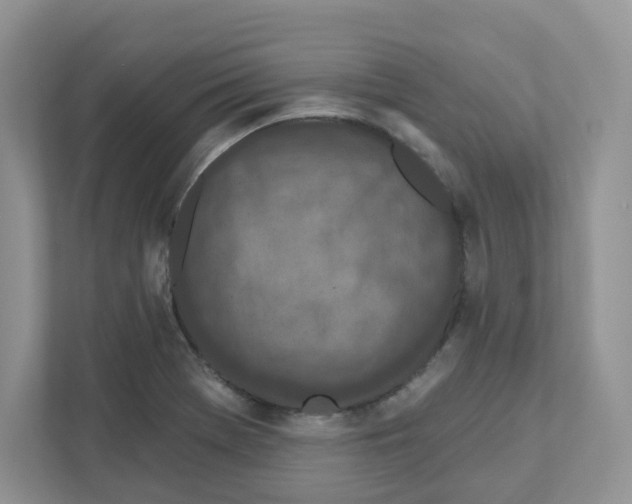 X0000110881369200907091413