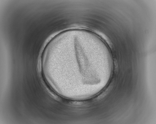 X0000110881371200907091413